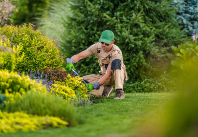 Landscaping